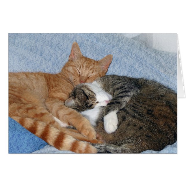 Cartão Docinhos para dormir (Frente Horizontal)