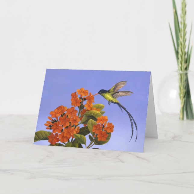 Cartão Doctorbird - National bird of Jamaica (Frente)