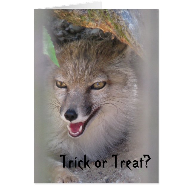 Cartão Doçura ou travessura? (Frente)