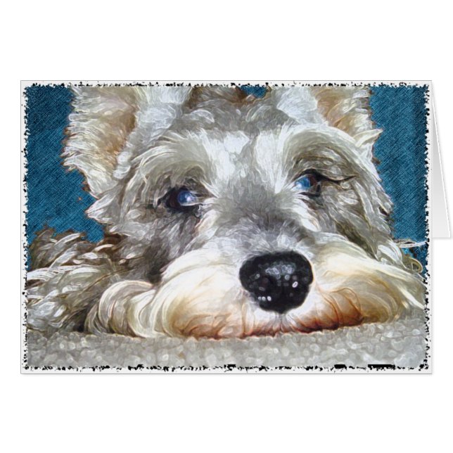 Cartão DOD: Mini alemão Schnauzer tão bonito (Frente Horizontal)