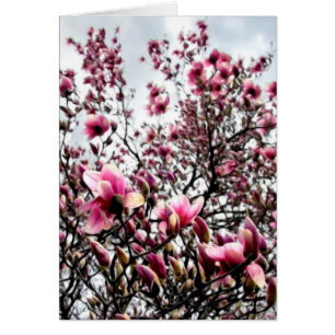 Cartão Doenças gastrointestinais