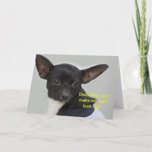 Cartão Does this card make my ears look big? Chihuahua