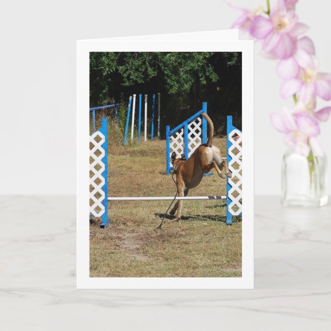 Cartão Dog at Training School (Orquídea)