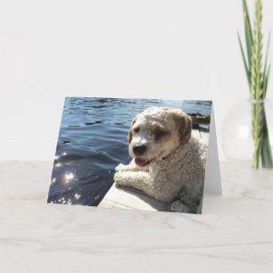 Cartão Dog by a lake greeting card