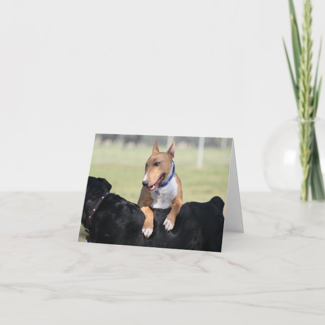 Cartão Dog Cards - I Got Your Back (Frente)