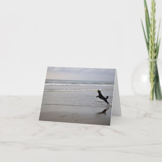 Cartão Dog Catching Beach Frisbee Note Card (Frente)