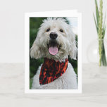 CARTÃO DOG DRESSES UP ONLY FOR "YOUR BIRTHDAY"<br><div class="desc">THIS DOG DRESSES UP FOR "YOUR BIRTHDAY" AND HIS IS LOOKING HAPPY FOR YOU TOO!</div>