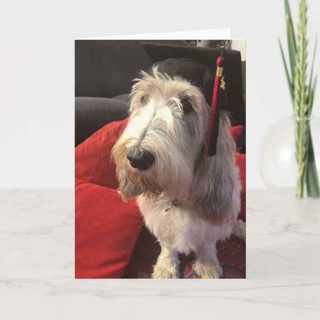 Cartão Dog Graduation Card (Frente)