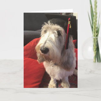 Cartão Dog Graduation Card