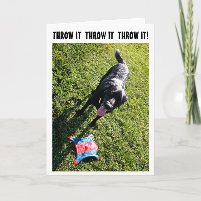 Cartão Dog humor birthday card (Frente)