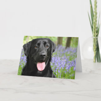 Cartão Dog in Bluebells Greeting Card