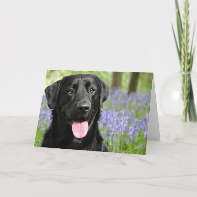 Cartão Dog in Bluebells Greeting Card (Frente)