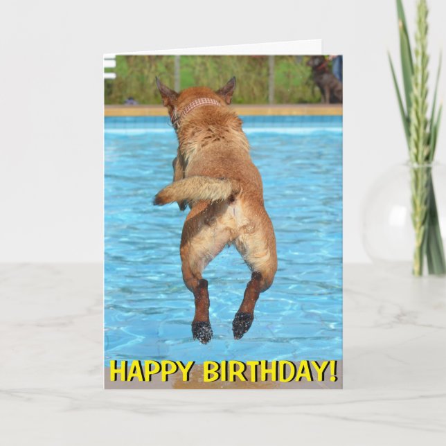 Cartão Dog leaping into pool birthday card (Frente)