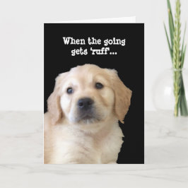 Cartão Dog Lover Get Well Card