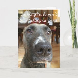 Cartão Dog Nose Get Well Card