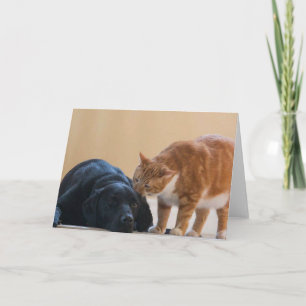 Cartão Dog Photo Card - Davy and Friend