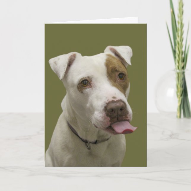 Cartão Dog Sticking Tongue Out Birthday Card (Frente)