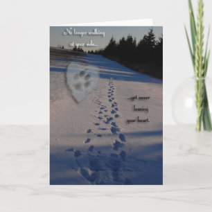 Cartão Dog Sympathy