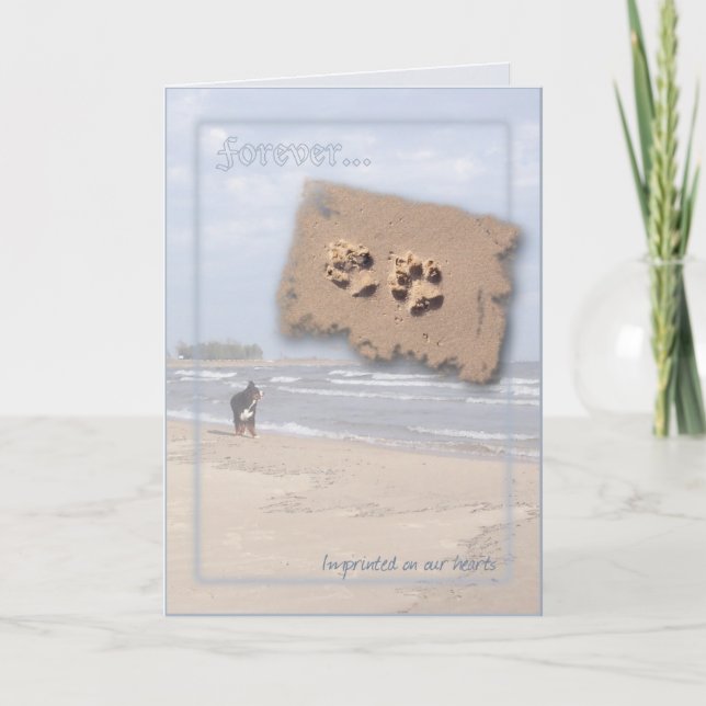 Cartão Dog Sympathy card (Frente)