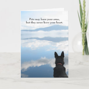 Cartão Dog Sympathy - Pets May Leave Your Arms
