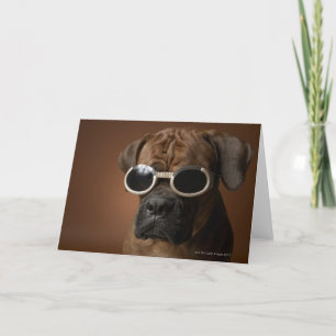 Cartão Dog wearing sunglasses