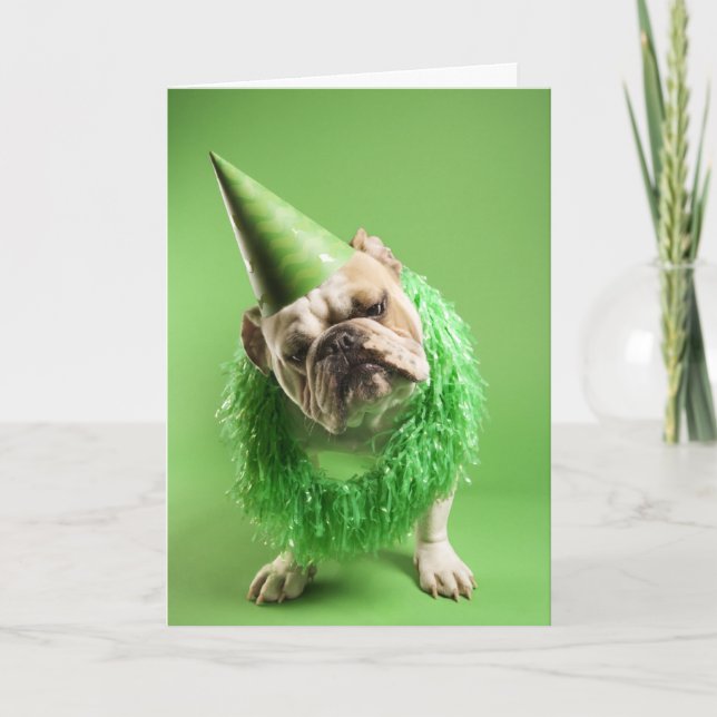 Cartão "Dog Years" Birthday Card (Frente)