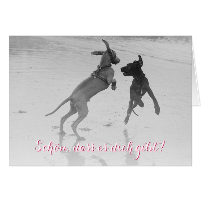 Cartão Doggenkarte "Schön (Frente Horizontal)