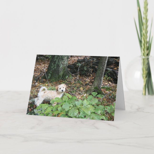 Cartão Doggie Birthday Card (Frente)