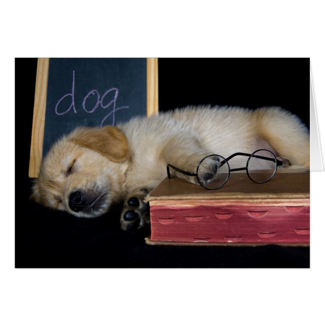 Cartão Doggie School (Frente horizontal)