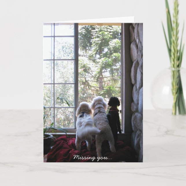 Cartão Doggies missing you (Frente)