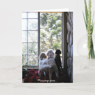 Cartão Doggies missing you