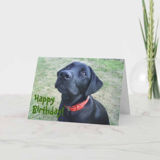 Cartão Doggy Birthday Card! (Frente)