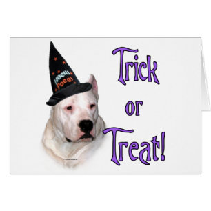 Cartão Dogo Argentino Trick