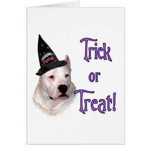 Cartão Dogo Argentino Trick