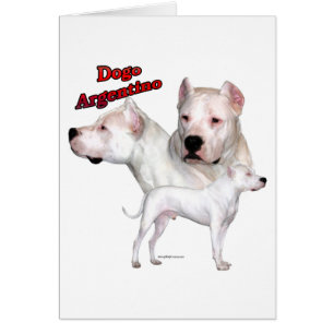 Cartão Dogo Argentino Trio 2