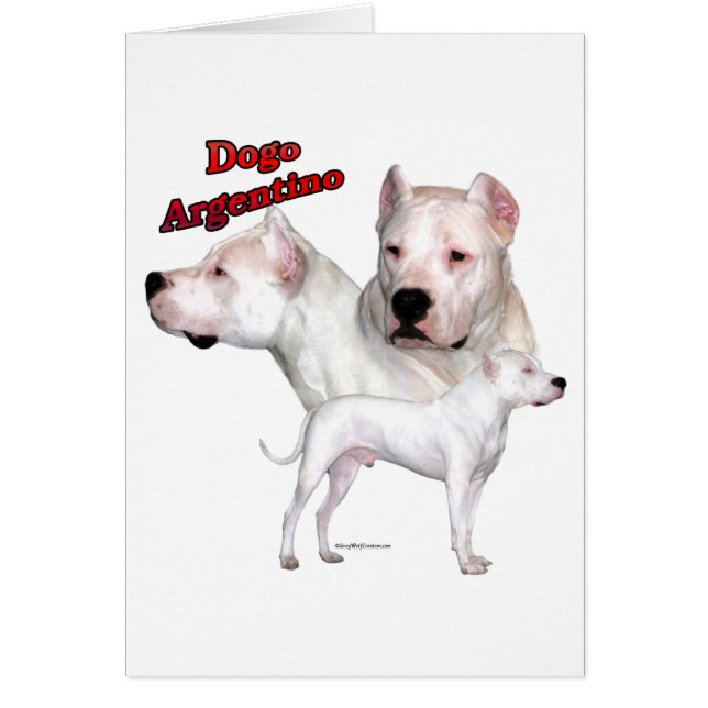 Cartão Dogo Argentino Trio 2 (Frente)