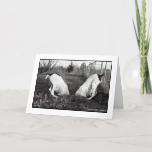 Cartão Dogs in a Hole