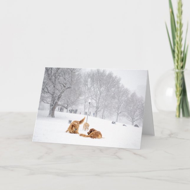 Cartão Dogs on Boston Common greeting card (Frente)