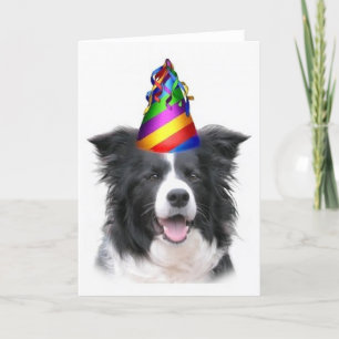 Cartão Dogs~Original Ditzy Notecard~Border Collie~B'day