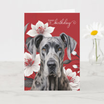 Dogue Alemão Aniversário Lírios Brancos em Vermelh