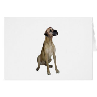 Cartão Dogue Alemão - BegeSentar - orelhas naturais