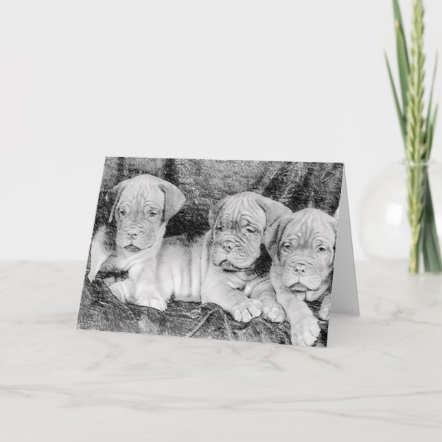 Cartão Dogue de bordeaux greeting card (Frente)