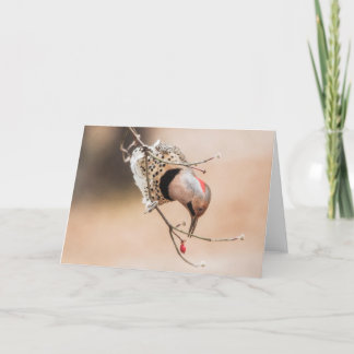 Cartão Dogwood Berry Breakfast