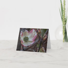 Cartão Dogwood Blossom Notecard