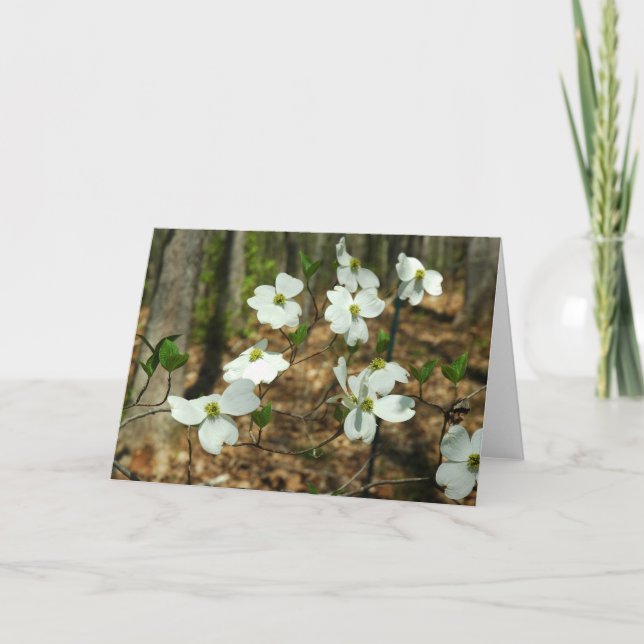 Cartão Dogwood Greeting Card (Frente)