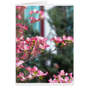 Cartão Dogwood Rosa
