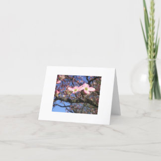 Cartão Dogwood Tree Notecard