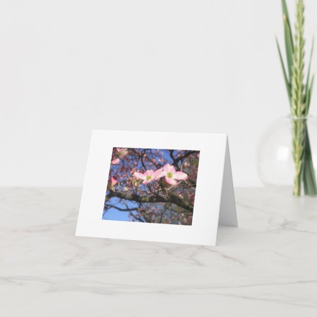 Cartão Dogwood Tree Notecard (Frente)