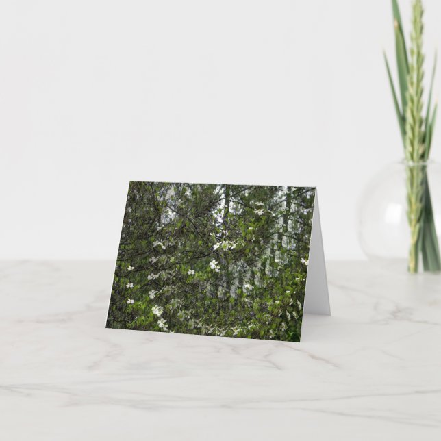 Cartão Dogwoods.. (Frente)