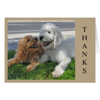 Cartão Dois amigos do cachorrinho de Goldendoodle!